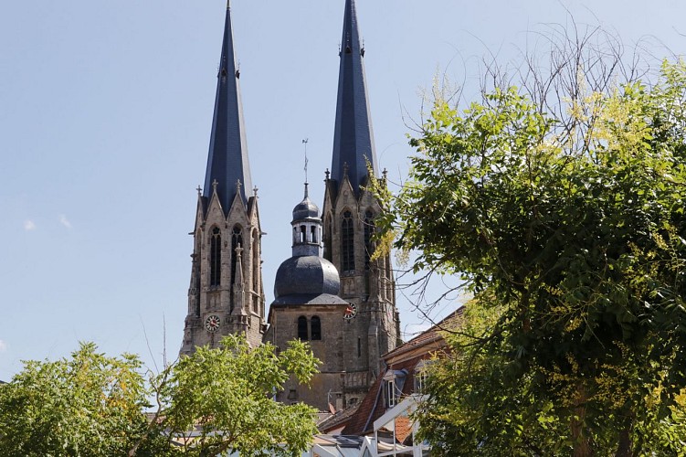 Le Parcours des Cigognes - Sarralbe