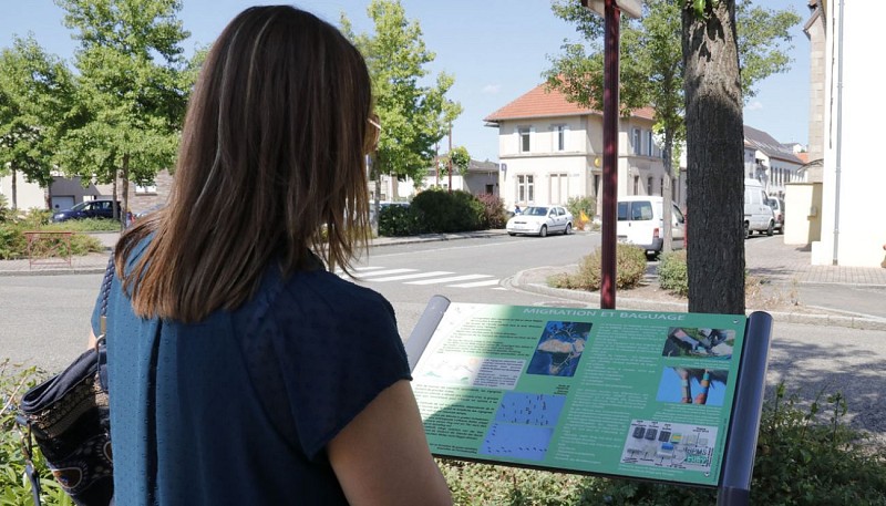 Le Parcours des Cigognes - Sarralbe