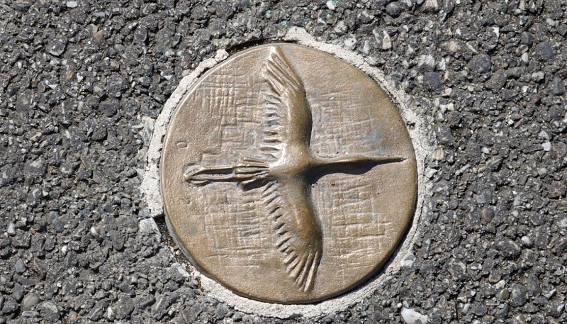 Le Parcours des Cigognes - Sarralbe