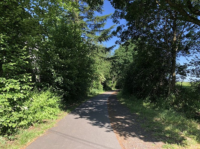 Fahrrad–Zug & Landschaften - Die Linie 38