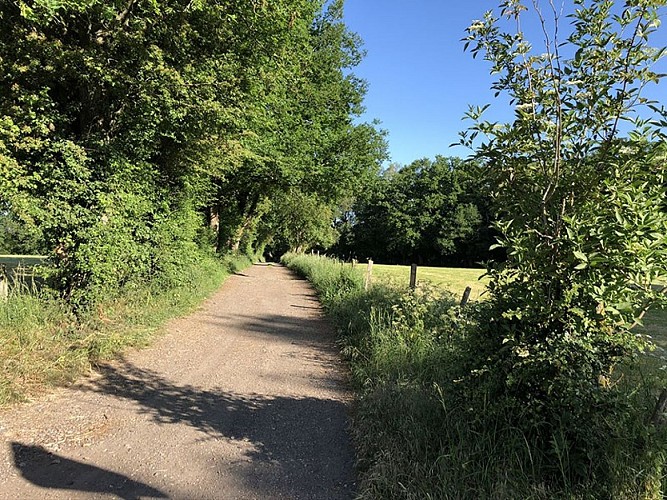 Fahrrad–Zug & Landschaften - Die Linie 38