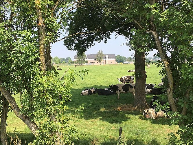 Fietsen-treinen & landschappen - Lijn 38