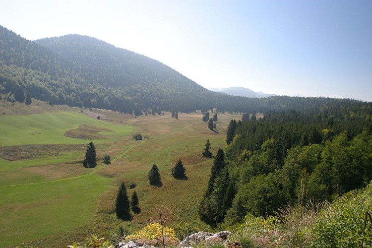 Bois Barbu, Herbouilly