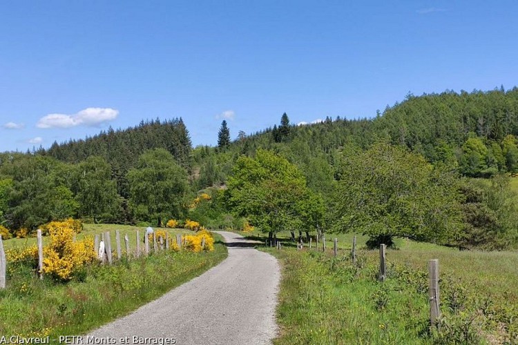 Circuit du Mont de Nedde