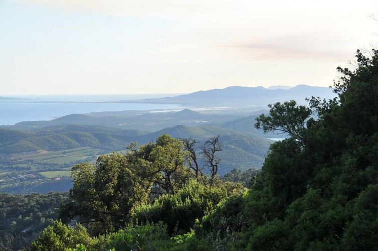 Vue depuis le sentier