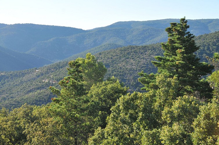 Vue depuis le sentier sur le massif des Maures