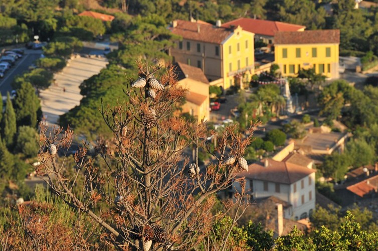 Vue du village de Bormes depuis le sentier