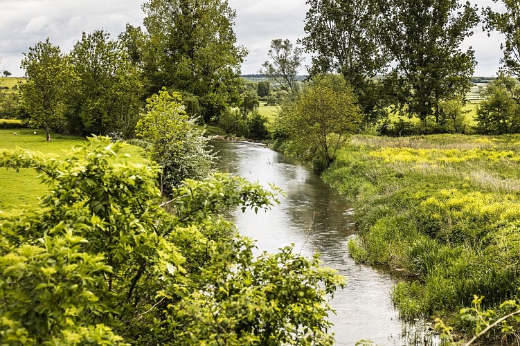Paysage avec rivière Brionnais
