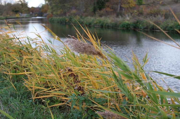 En bord de canal