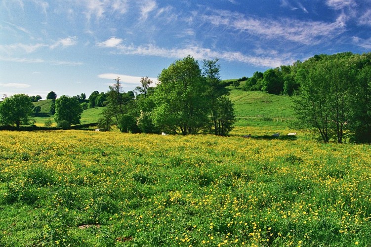 Bocage Brionnais