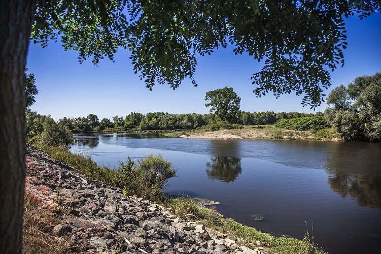 Loire en sud brionnais