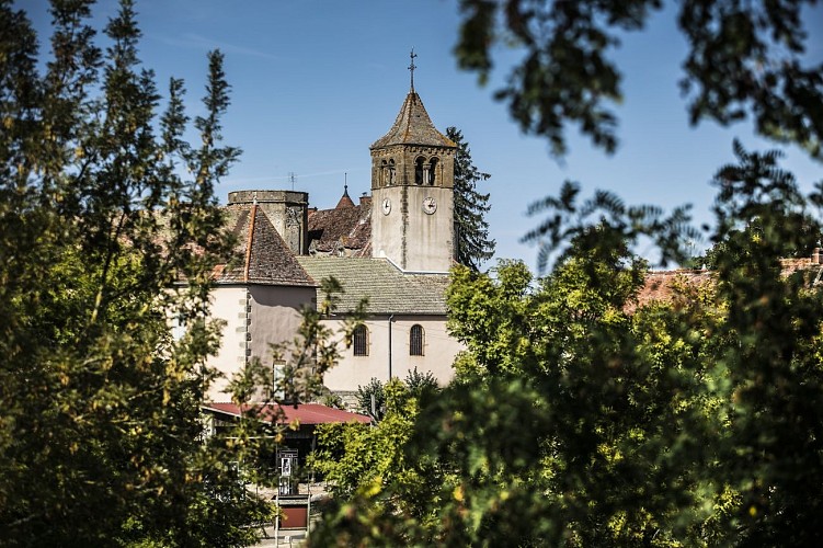 Berceau de la race charolaise