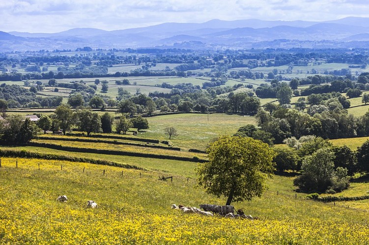 Saint Bonnet de Cray