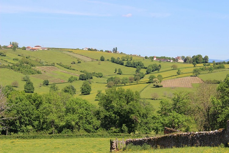 Bocage en sud Brionnais