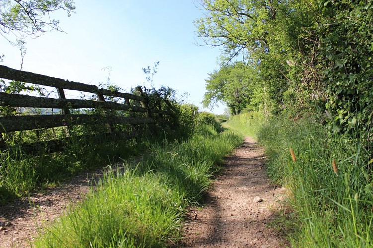 Chemin de randonnée en Brionnais