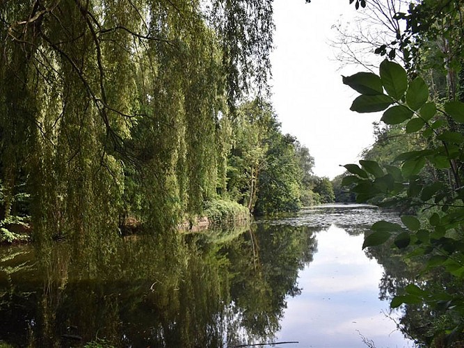 Cycling and hiking tours - Between Meuse and canal