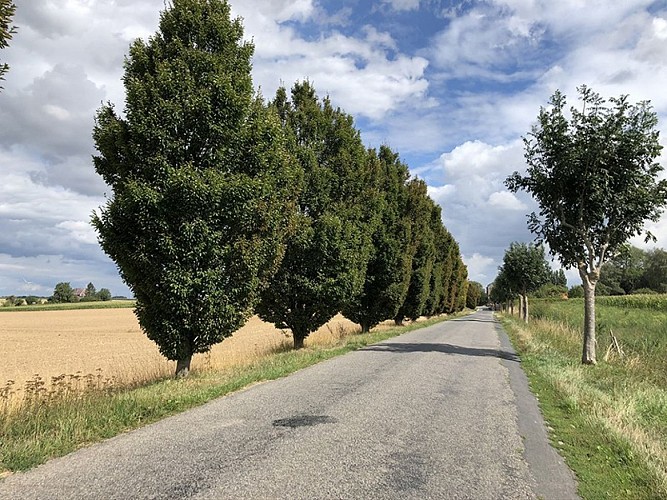 Rad- und Wandertouren - Die Radtour „Grigne-dints“