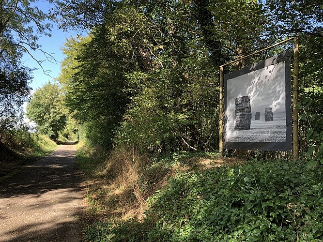 Cycling and hiking tours - The “grigne-dints” bike ride