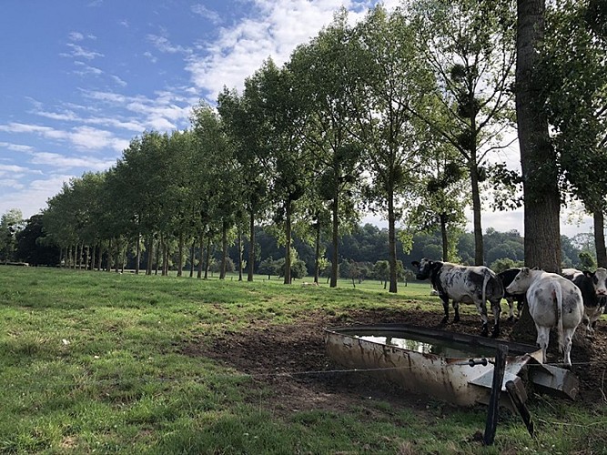 Wandel- en fietstochten - Fietstoour "Grigne-dints"
