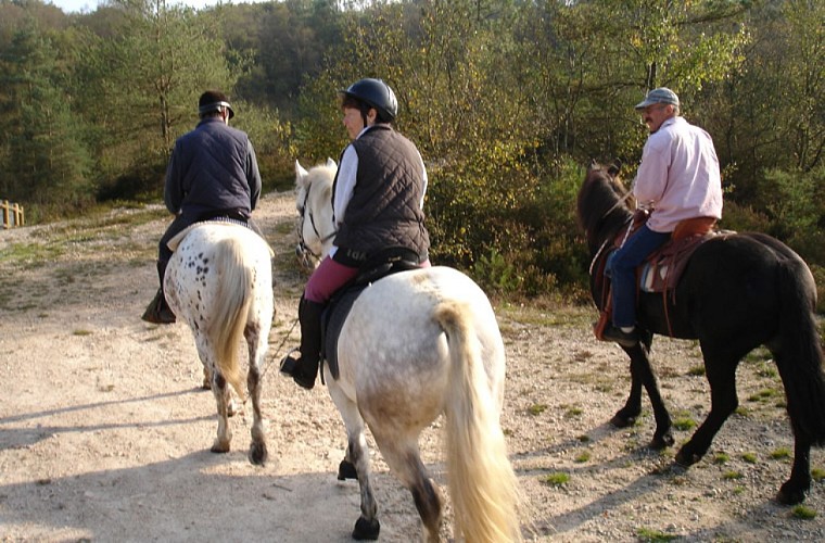 À cheval boucle du Tro Vras en forêt d'Avaugour