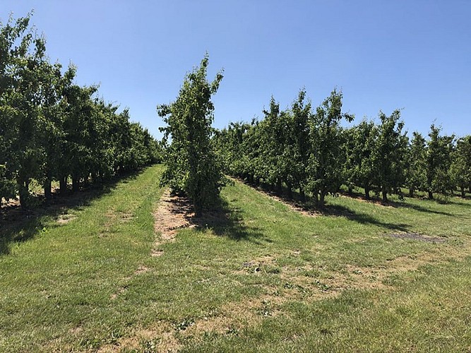 Rad- und Wandertouren - Die Basse-Meuse