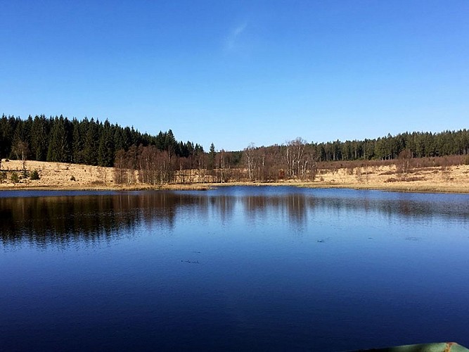 Cycling and hiking tours - Fens and Schwarzsee