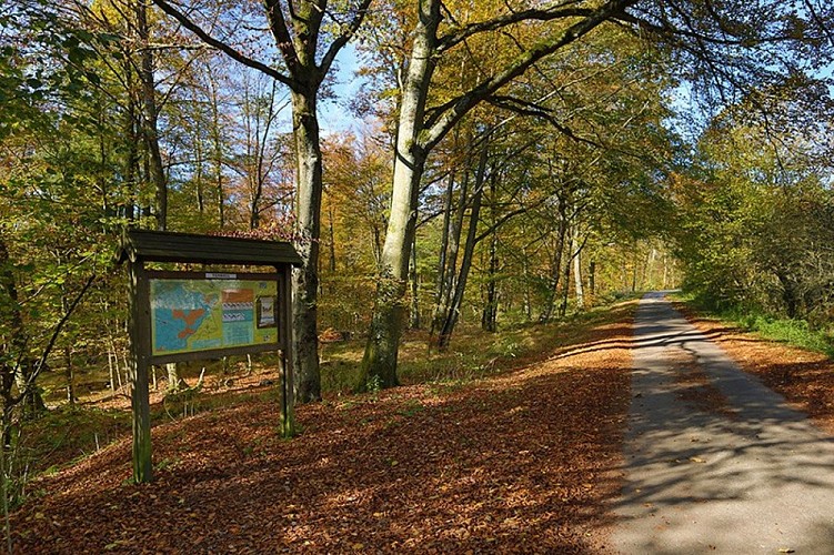 Balades en boucle - Fagnes et Schwarzee