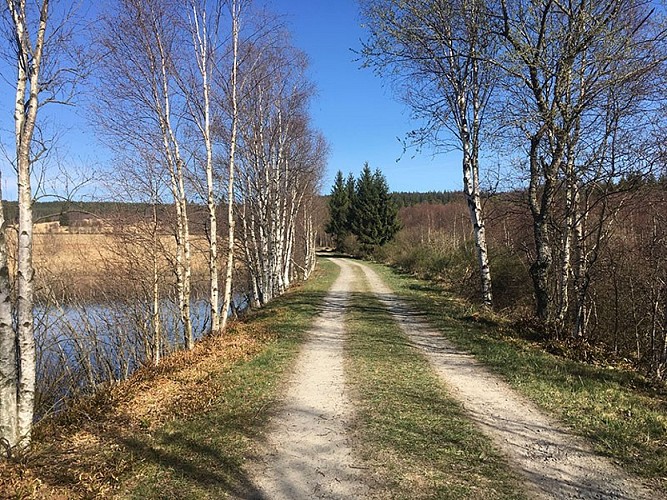 Balades en boucle - Fagnes et Schwarzee