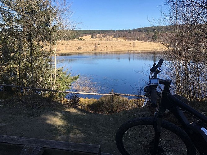 Wandel- en fietstochten - Venen en Schwarzsee