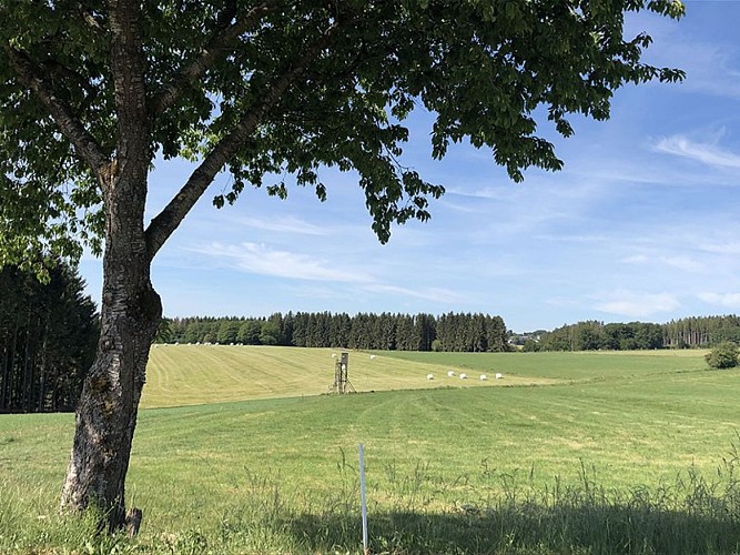 Rad- und Wandertouren - Die kleinen Dörfer der Eifel