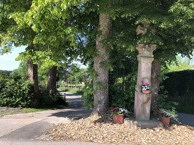 Wandel- en fietstochten - De dorpjes van de Eifel