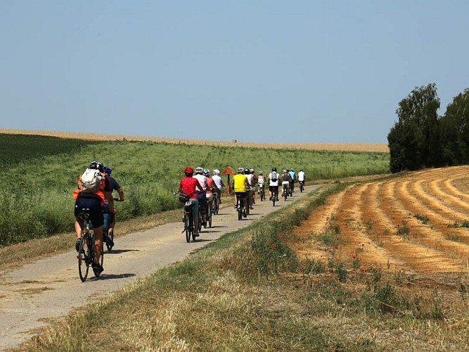 Cycling and hiking tours - Mehaigne & Moissons