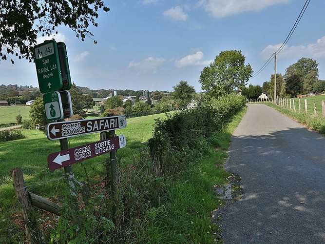 Cycling and hiking tours - Banneux landscapes