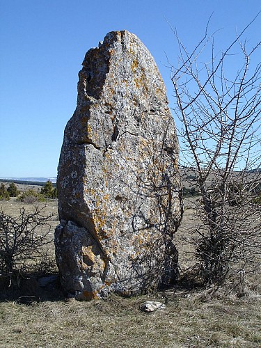 Menhir du Fraïsse causse Méjean