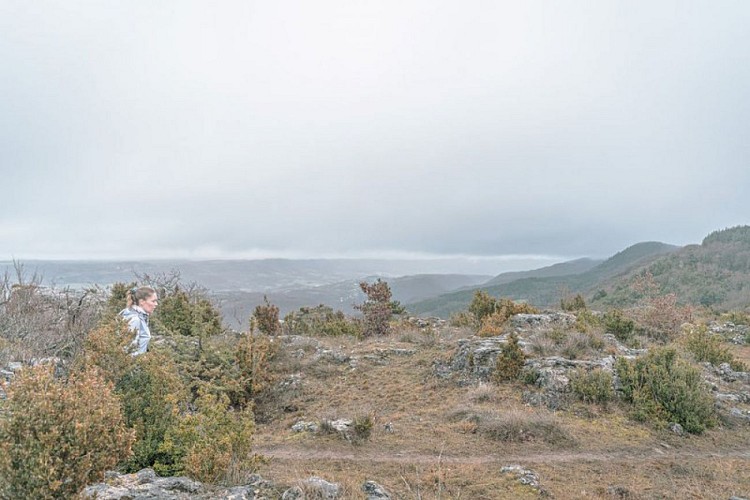 Sentier sur le causse