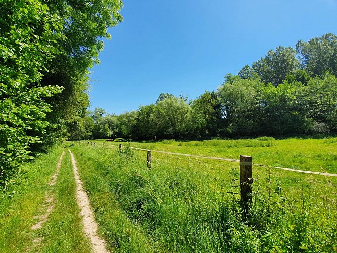 Chemin &amp; pré