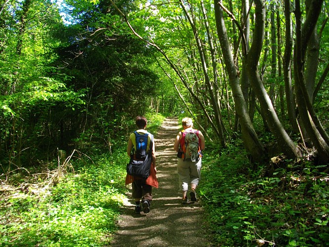 Walking trail: Around Mont Cuchet