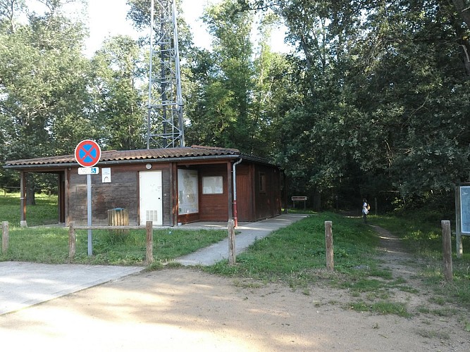 Forêt de la Flachère