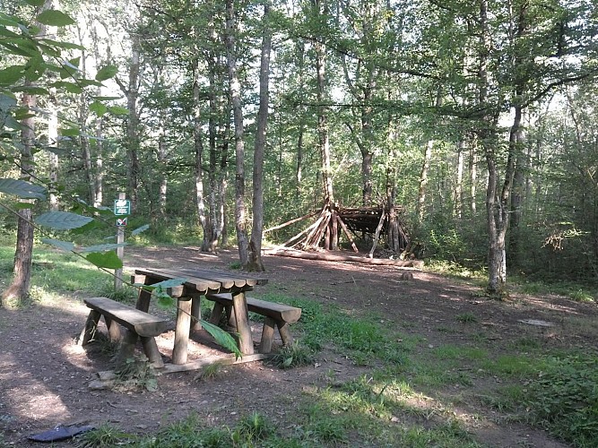 Forêt de la Flachère