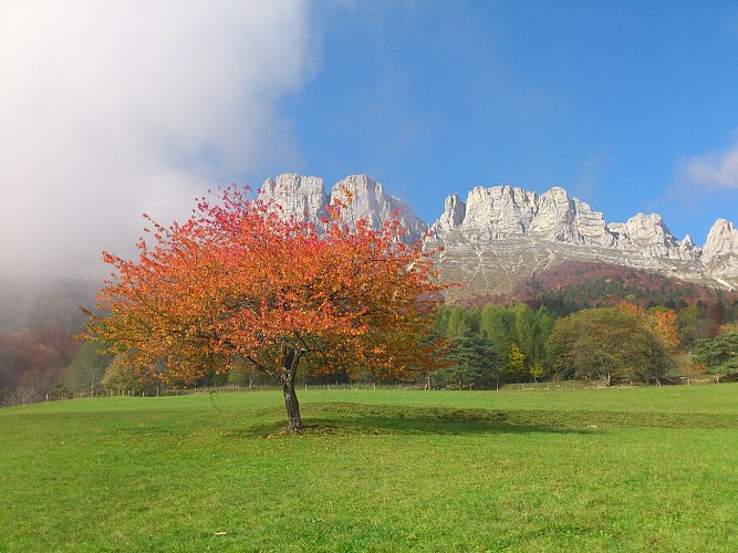 From Grand-Veymont to Deux-Sœurs - Cycling path n°4