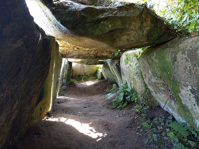 Decouverte de l arriere pays du camping gcu Landrellec