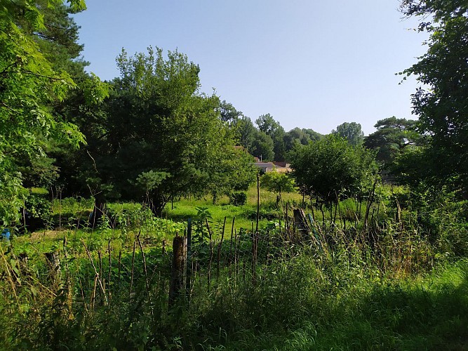Les coteaux de la Remarde
