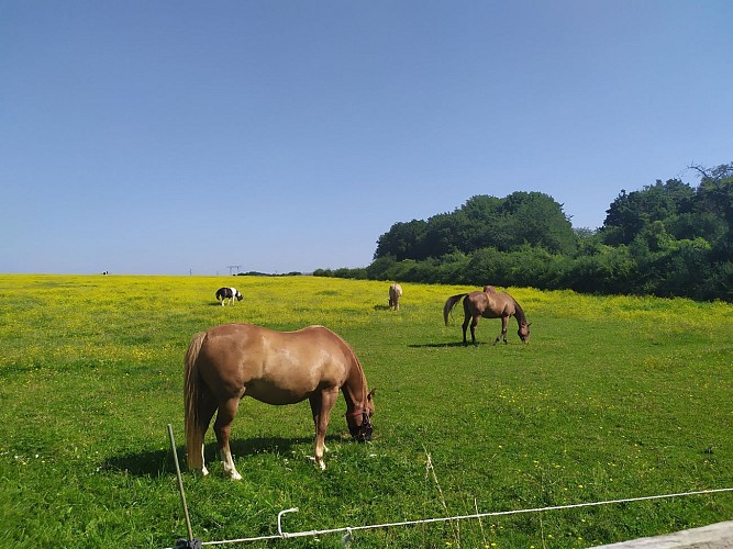 Les coteaux de la Remarde
