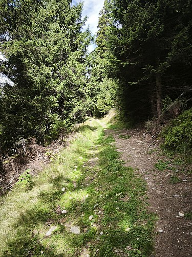 Pre des Dames parm-walk_Alpe Du Grand Serre