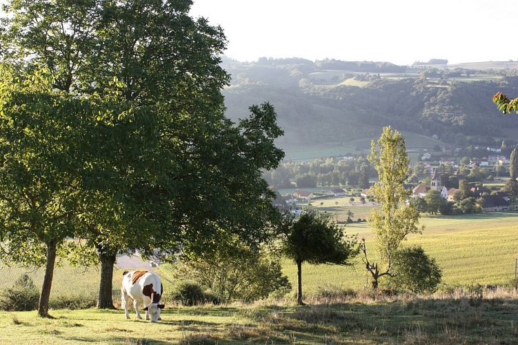 Randonnée châteaux et fermes bas Dauphiné en pisé