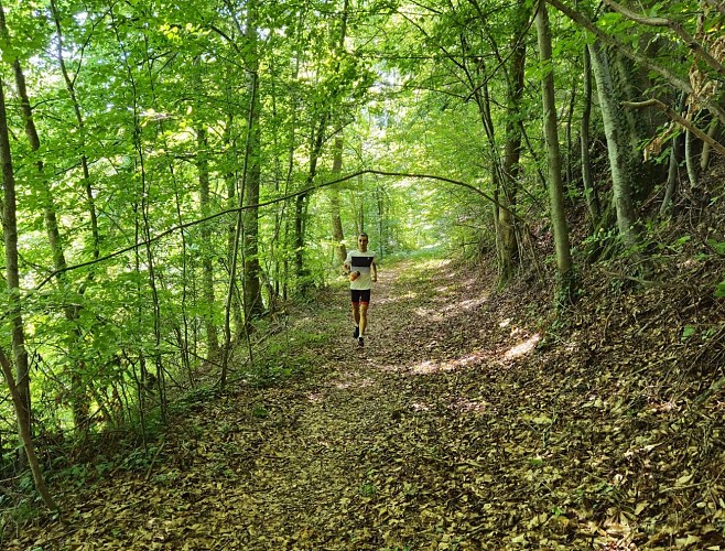 TRAIL - A la découverte des Vals du Dauphiné_Val-de-Virieu