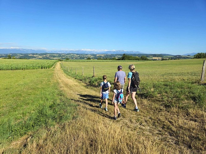 Chemin vers Cote 568