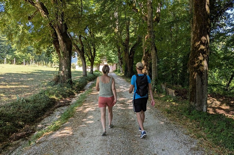 Allée du château de Virieu_Val-de-Virieu