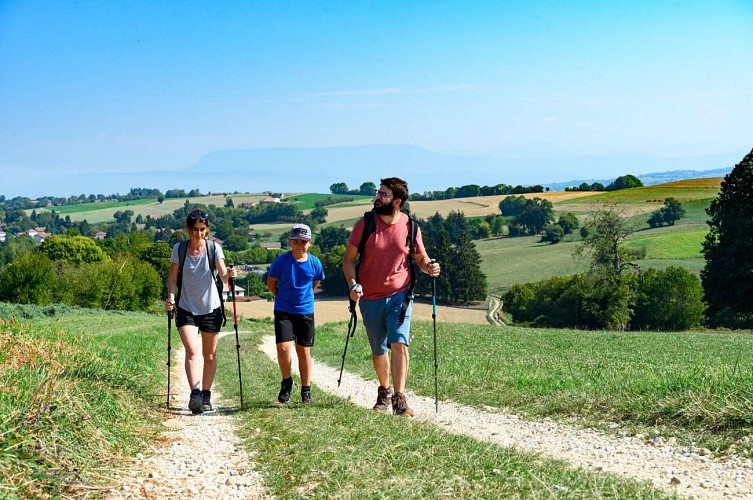 Randonnée - forêt du roi et Biol le Haut