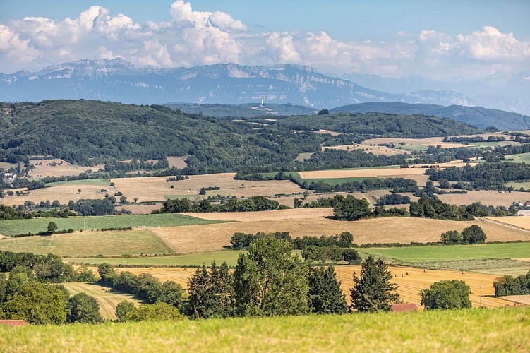 Randonnée - forêt du roi et Biol le Haut